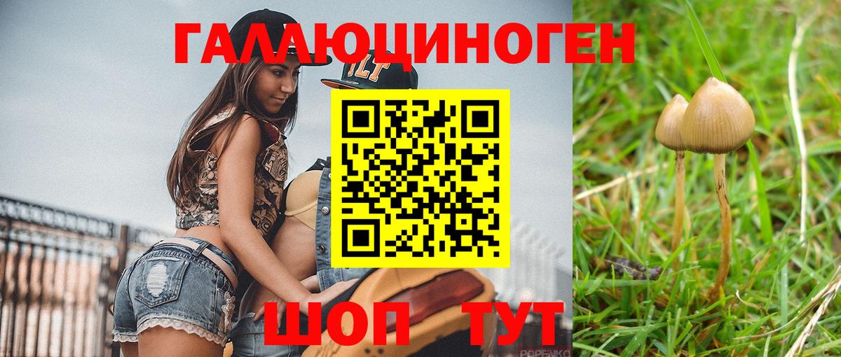Псилоцибиновые грибы MAGIC MUSHROOMS Выкса