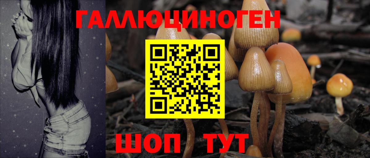 Галлюциногенные грибы мухоморы  Вход с VPN  Выкса  Галлюциногенные грибы Psilocybe 